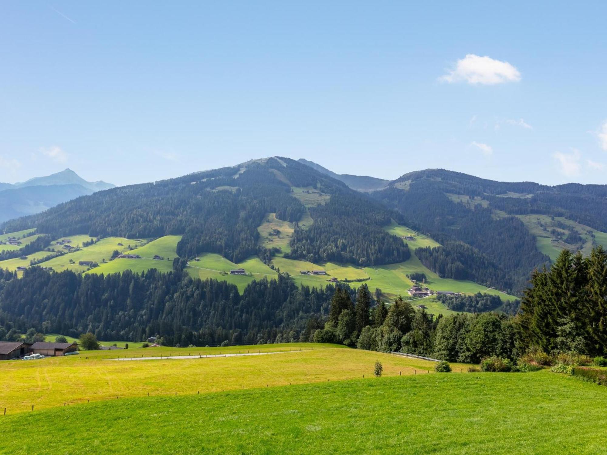 Haus Fernwald Top Nynke Apartman Alpbach Kültér fotó