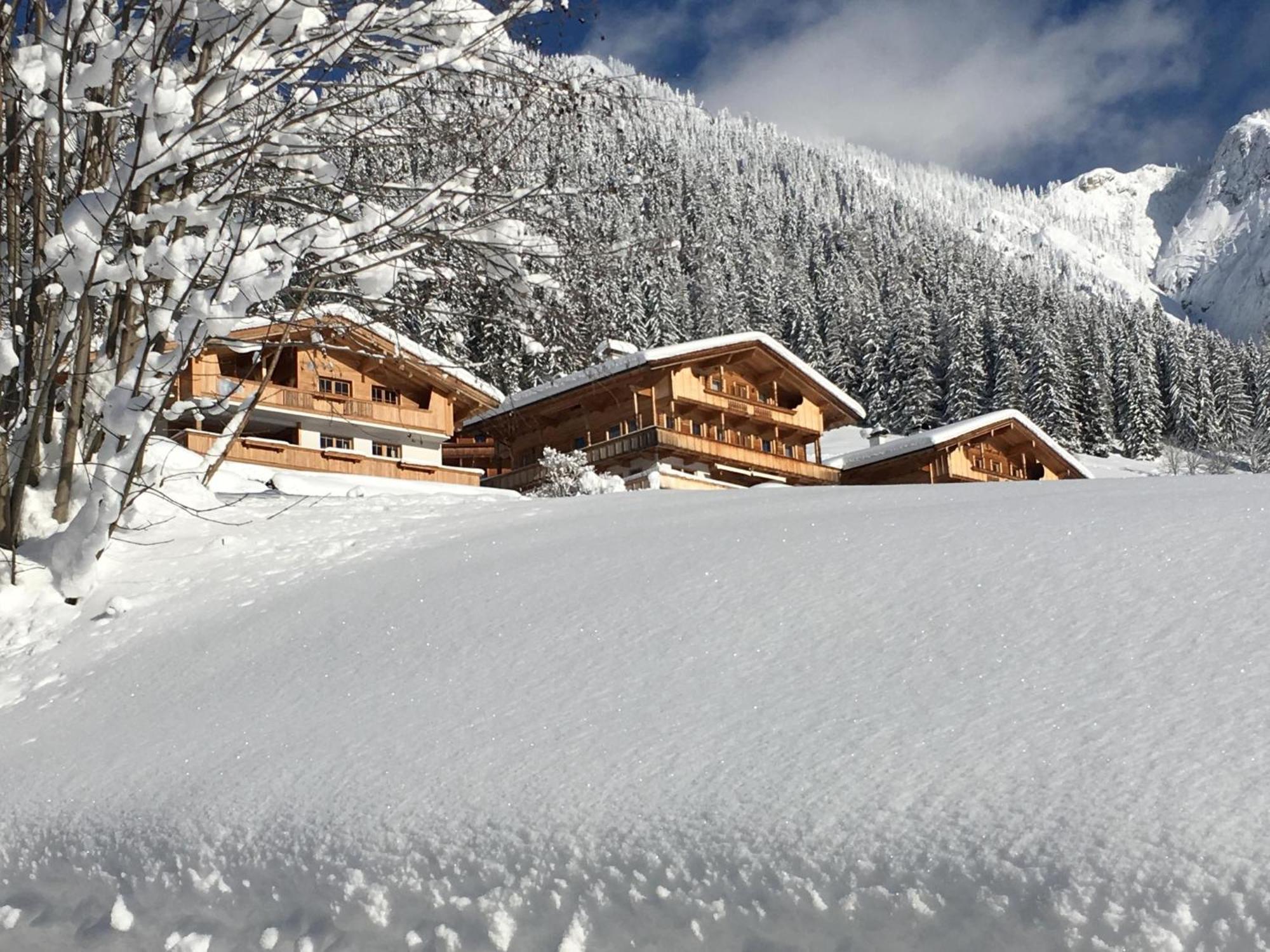 Haus Fernwald Top Nynke Apartman Alpbach Kültér fotó